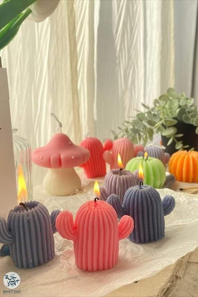 Cactus